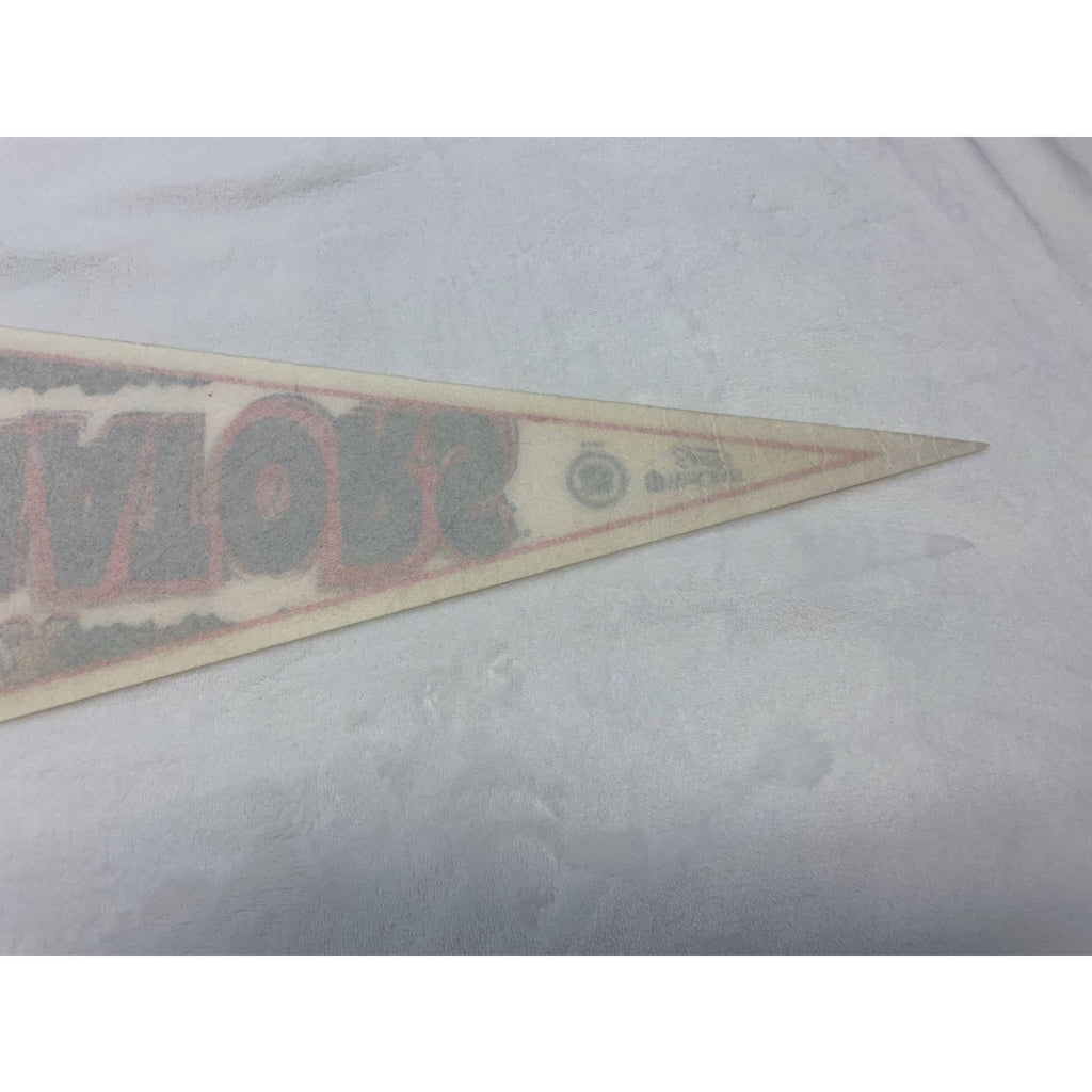 Vintage Ottawa Senators pennant