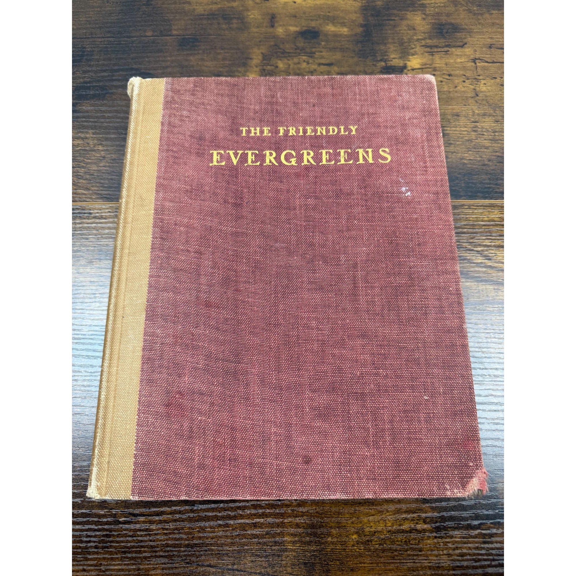 The Friendly Evergreens Hardcover Book Vintage Red & Tan Cover Worn Edges & Child’s Scribbles Inside Pages