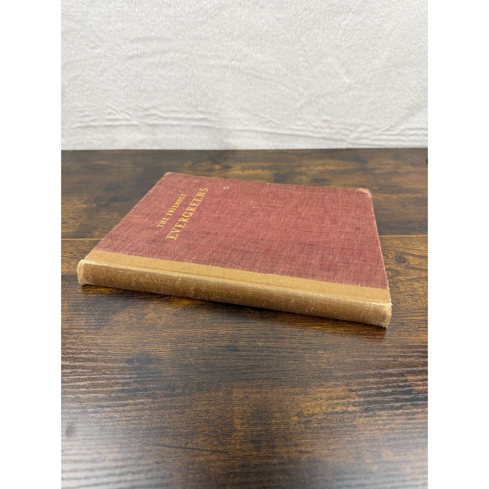 The Friendly Evergreens Hardcover Book Vintage Red & Tan Cover Worn Edges & Child’s Scribbles Inside Pages