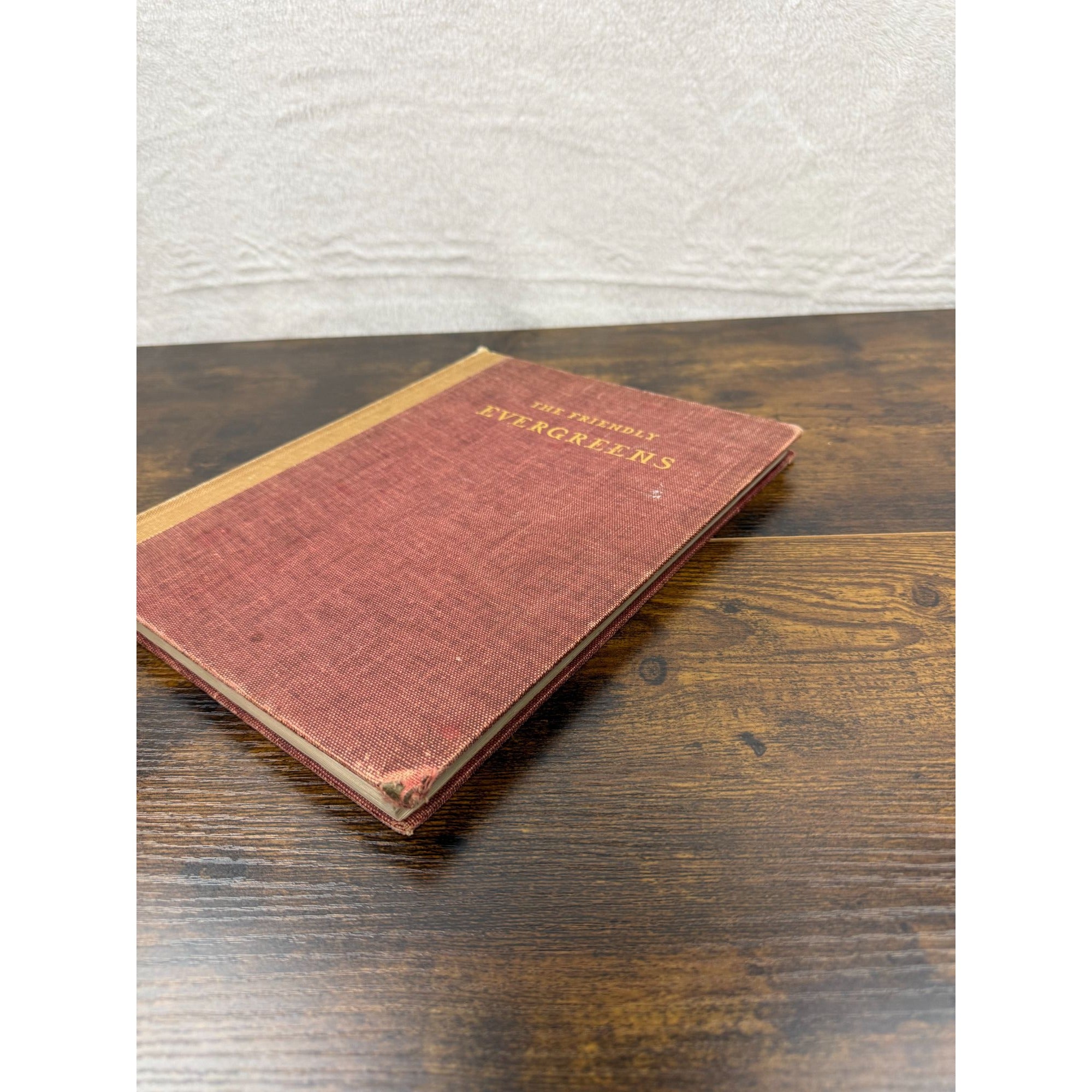 The Friendly Evergreens Hardcover Book Vintage Red & Tan Cover Worn Edges & Child’s Scribbles Inside Pages
