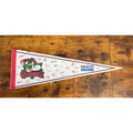 Vintage Macon Whoopee hockey pennant signatures