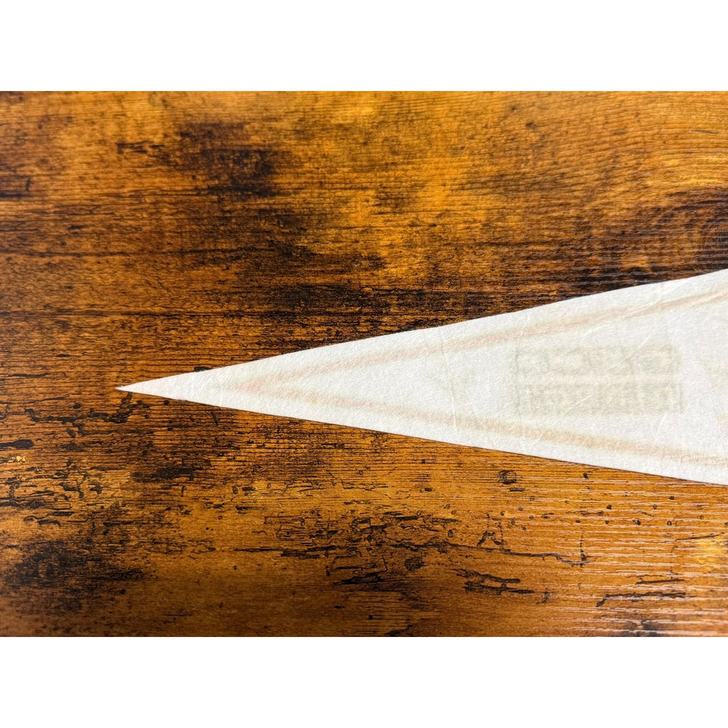 Vintage Macon Whoopee hockey pennant signatures