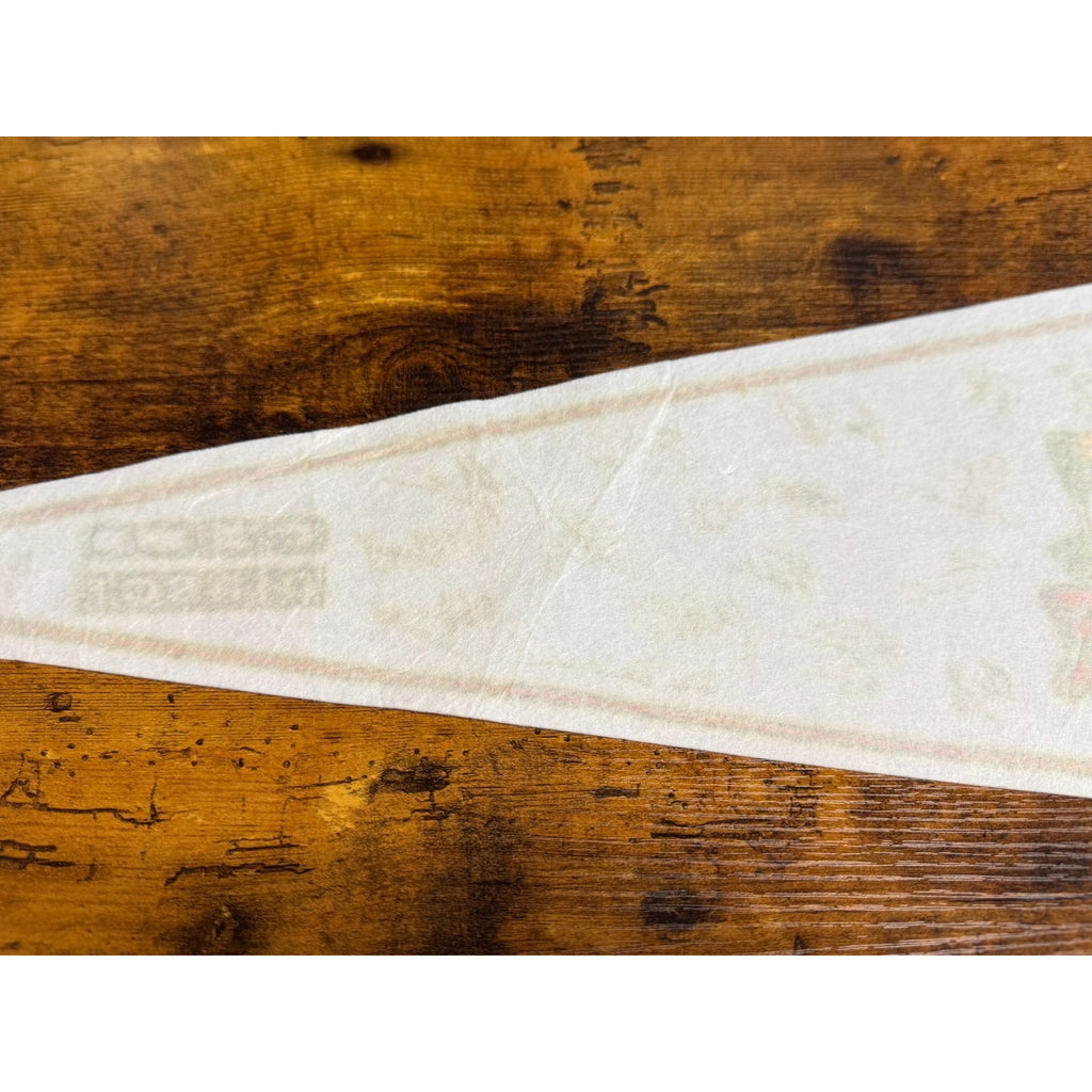 Vintage Macon Whoopee hockey pennant signatures