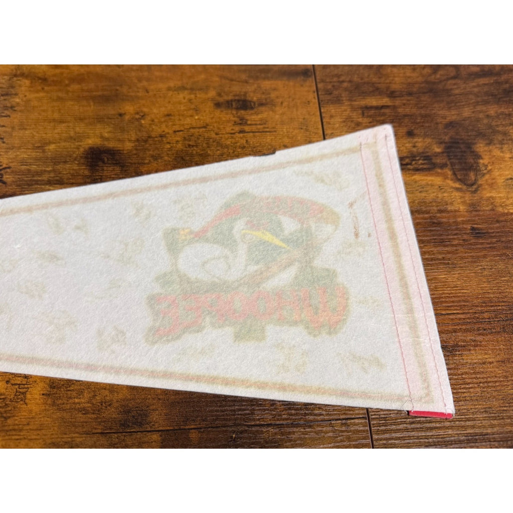 Vintage Macon Whoopee hockey pennant signatures