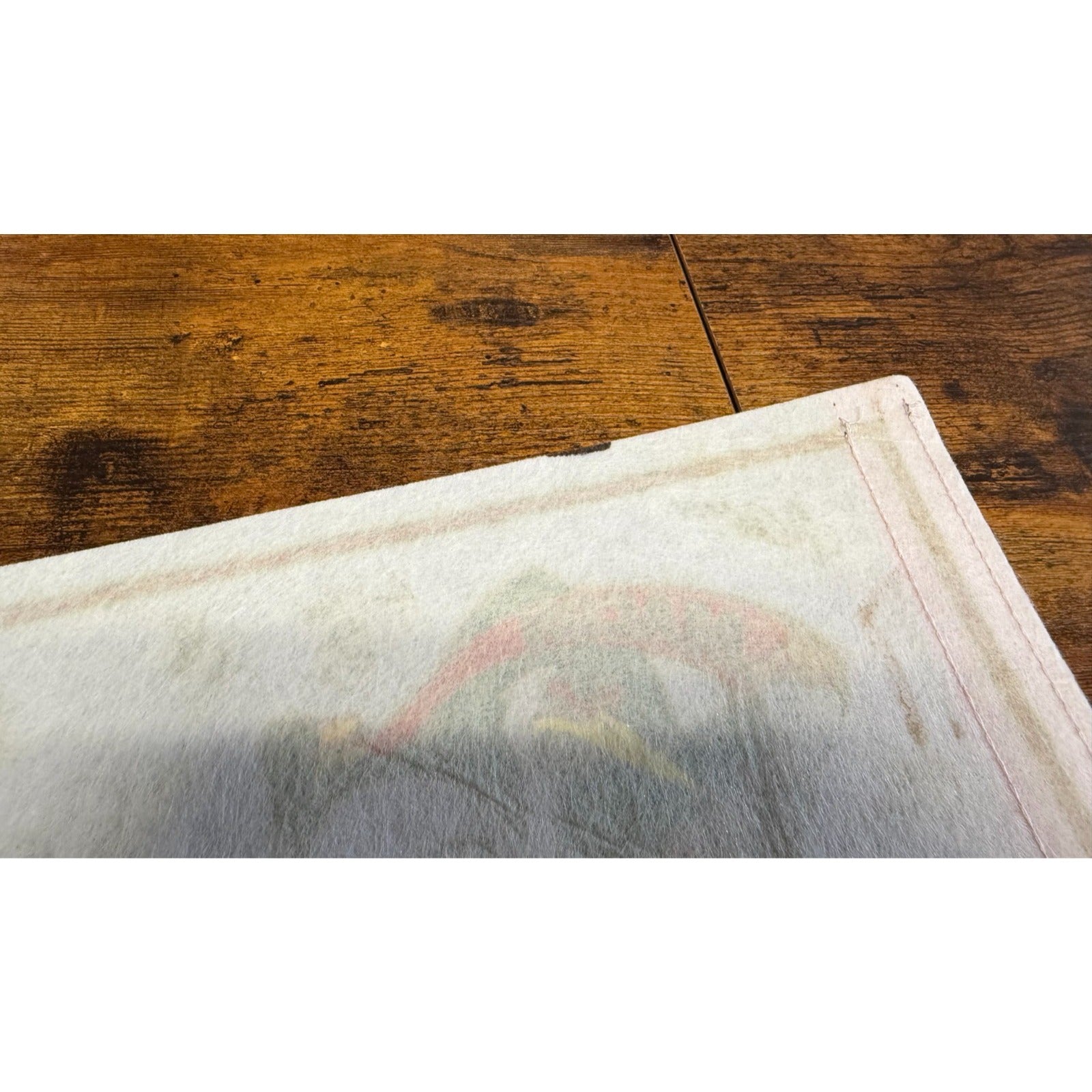 Vintage Macon Whoopee hockey pennant signatures