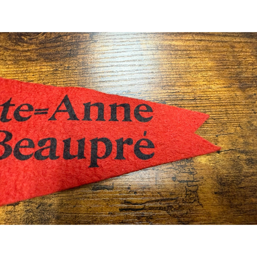 Vintage Ste=Anne deBeaupre mini pennant