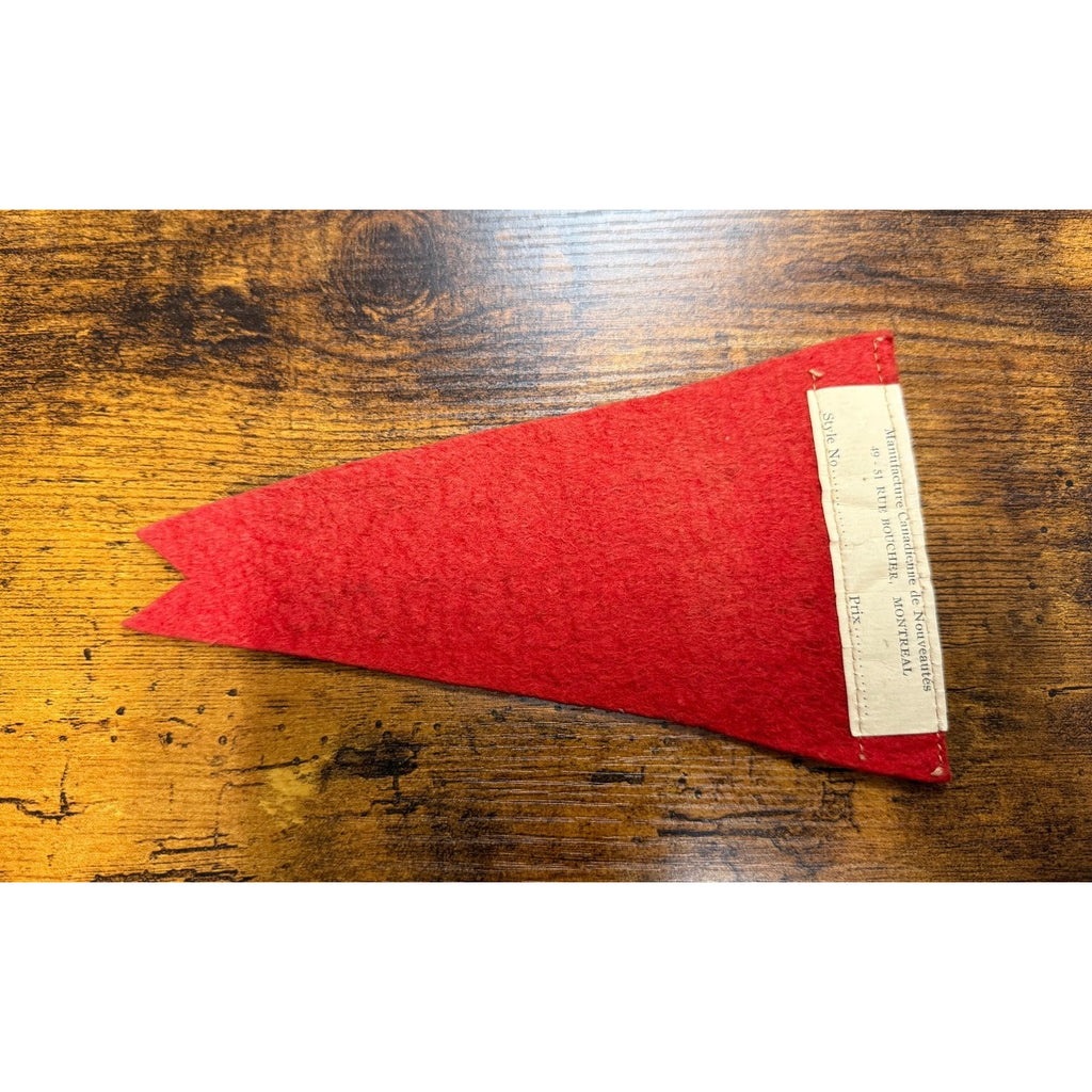 Vintage Ste=Anne deBeaupre mini pennant