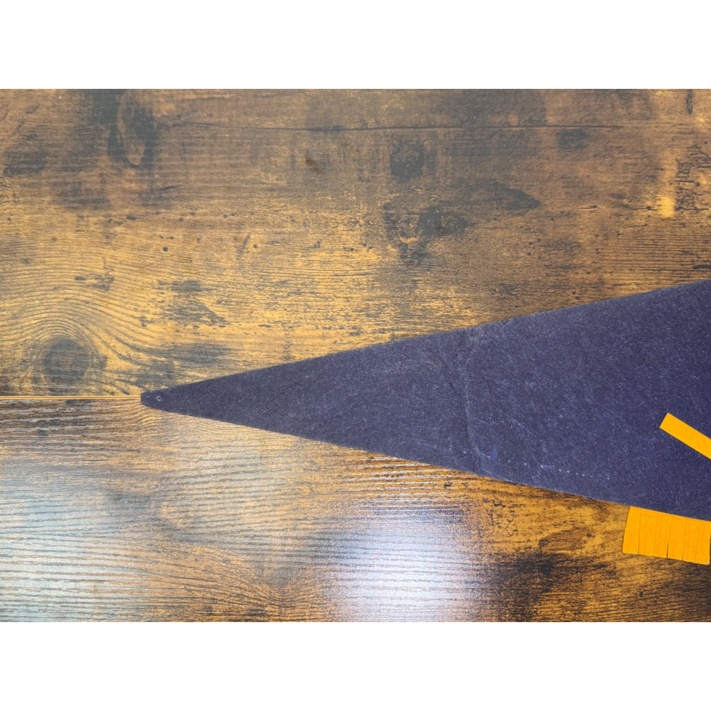 Vintage 1975 Pikes Peak Summit Felt Pennant Altitude 14110 Feet