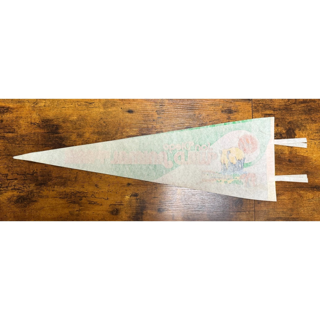 Vintage San Diego Wild Animal Park pennant