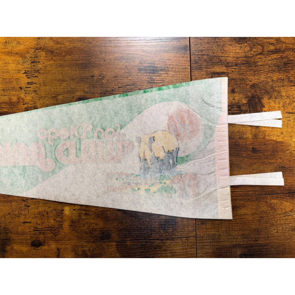 Vintage San Diego Wild Animal Park pennant