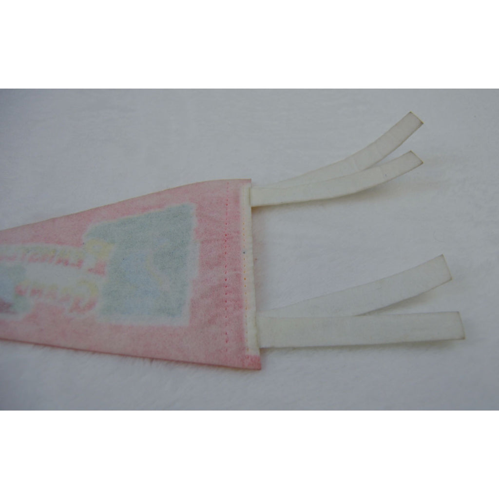 Vintage Pennsylvania's Grand Canyon pennant
