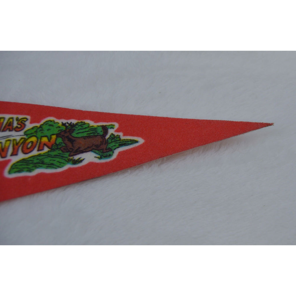 Vintage Pennsylvania's Grand Canyon pennant