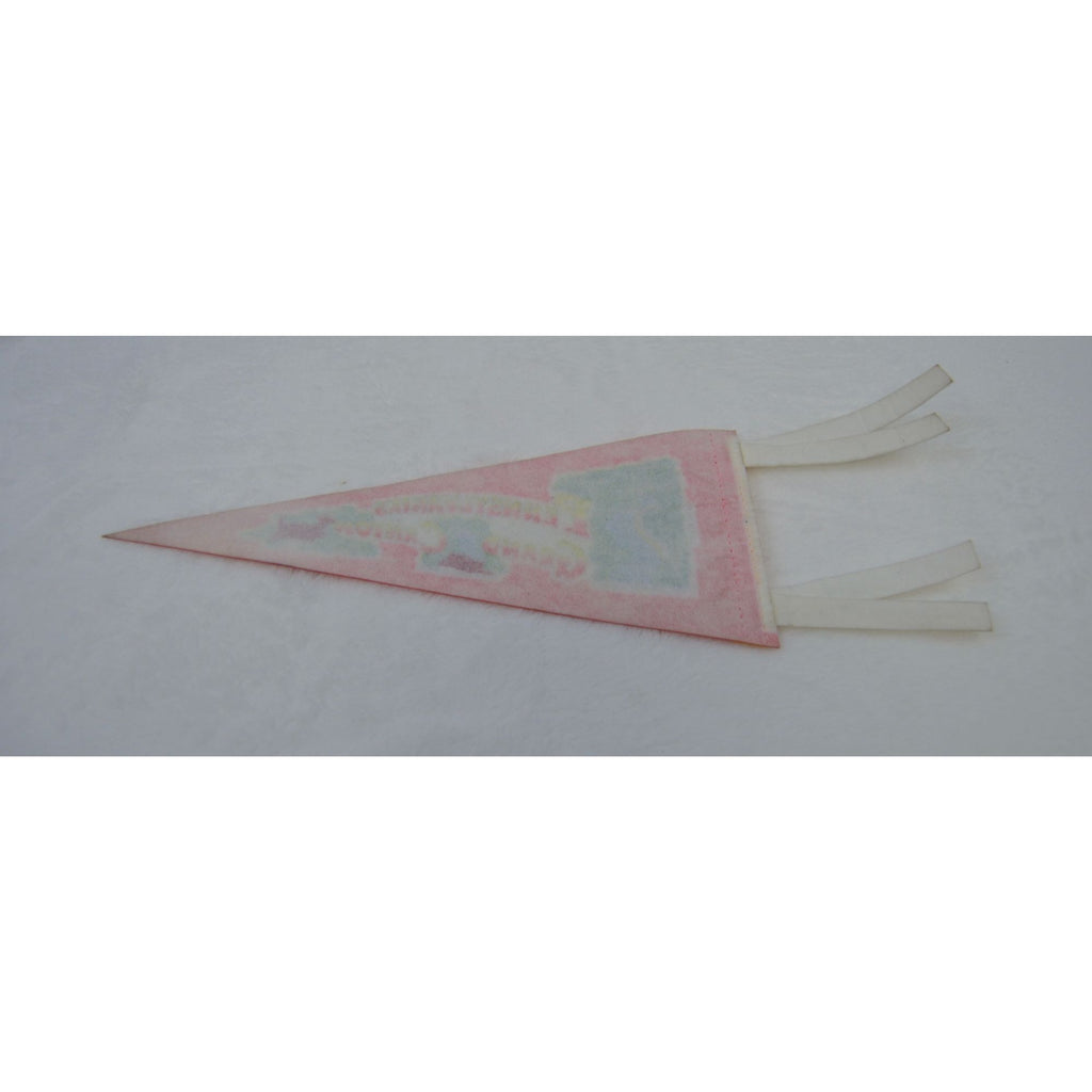 Vintage Pennsylvania's Grand Canyon pennant