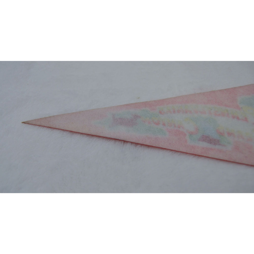 Vintage Pennsylvania's Grand Canyon pennant