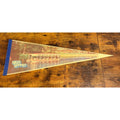 Vintage Florida's Silver Springs pennant