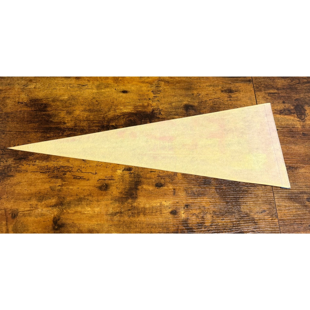 Vintage Florida's Silver Springs pennant