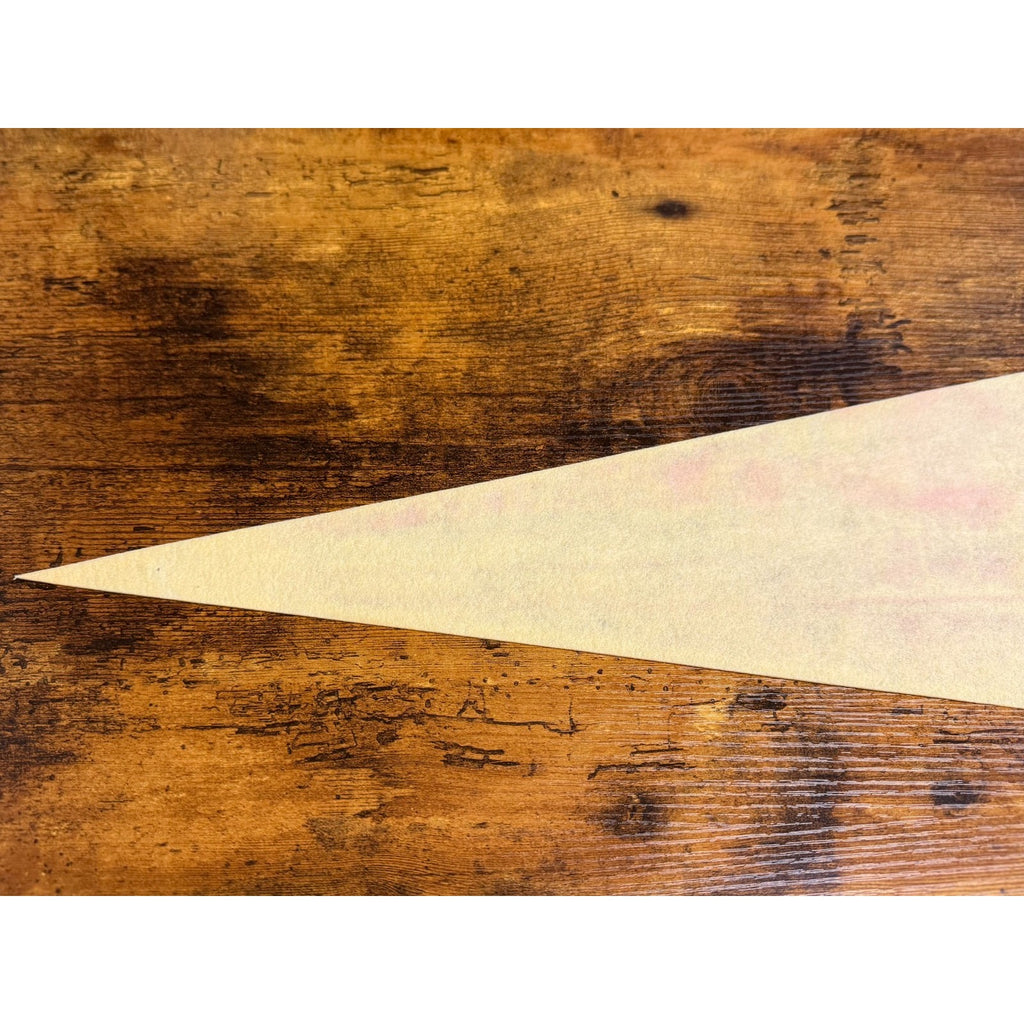 Vintage Florida's Silver Springs pennant
