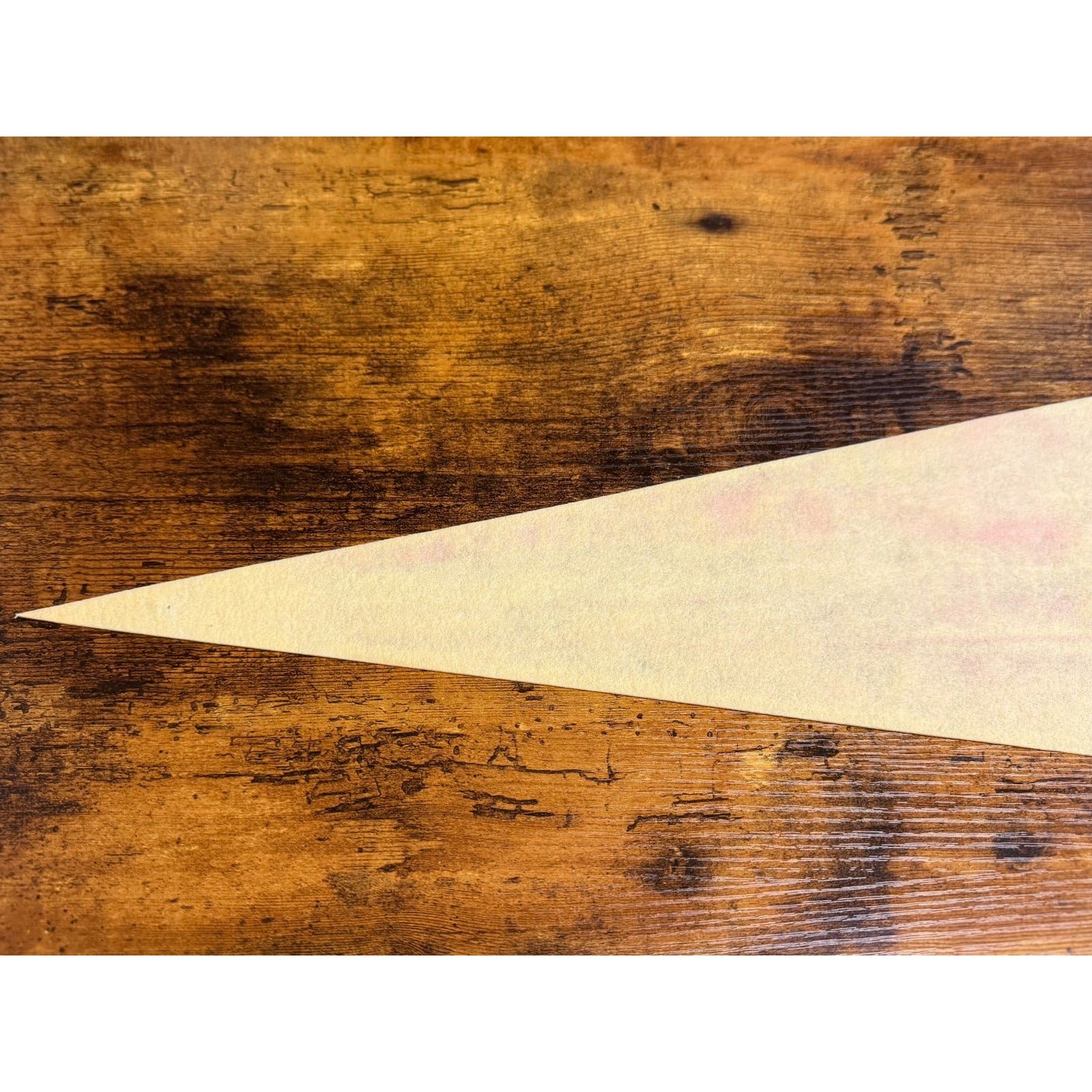 Vintage Florida's Silver Springs pennant