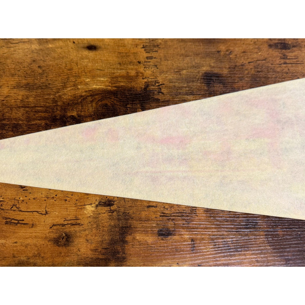 Vintage Florida's Silver Springs pennant