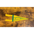 Vintage The Pennsylvania Turnpike pennant