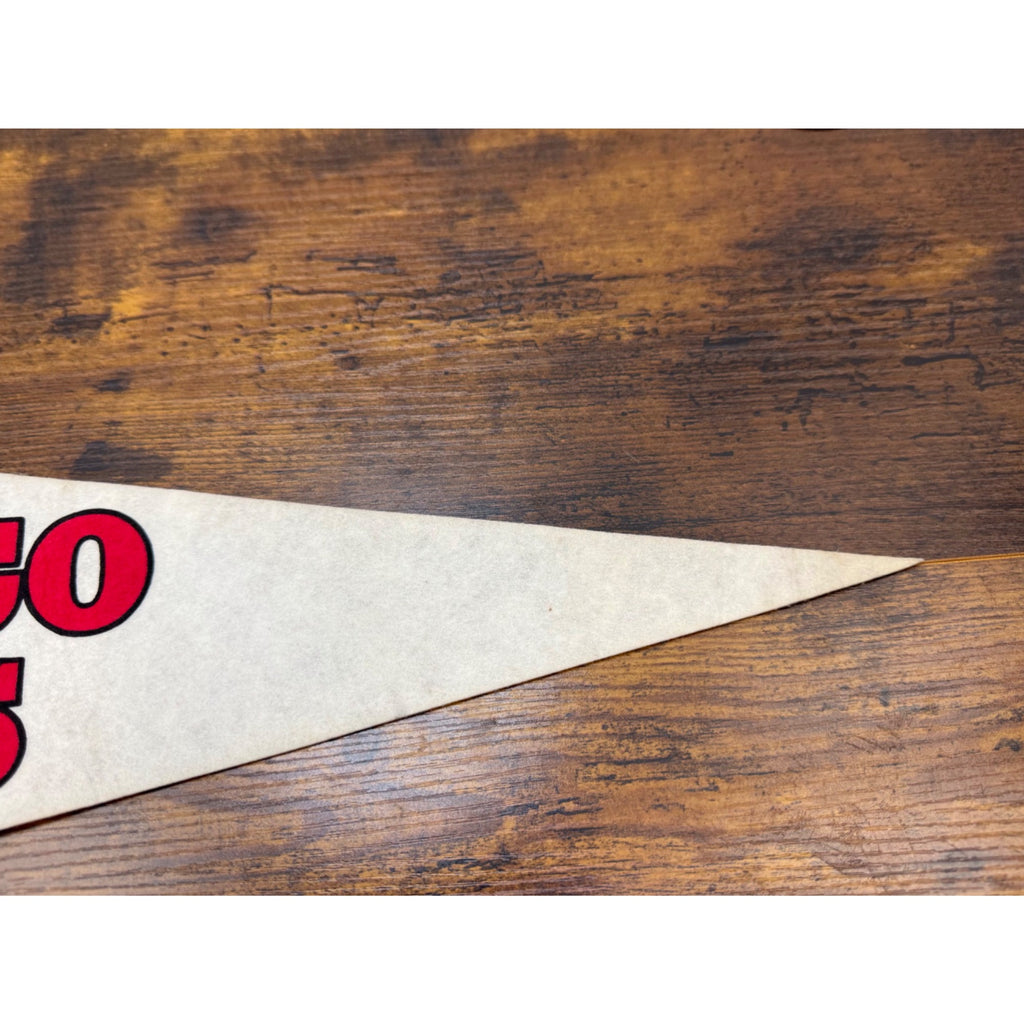 Vintage Chicago Bulls NBA Licensed Felt Pennant Classic Bull Logo 30 inches