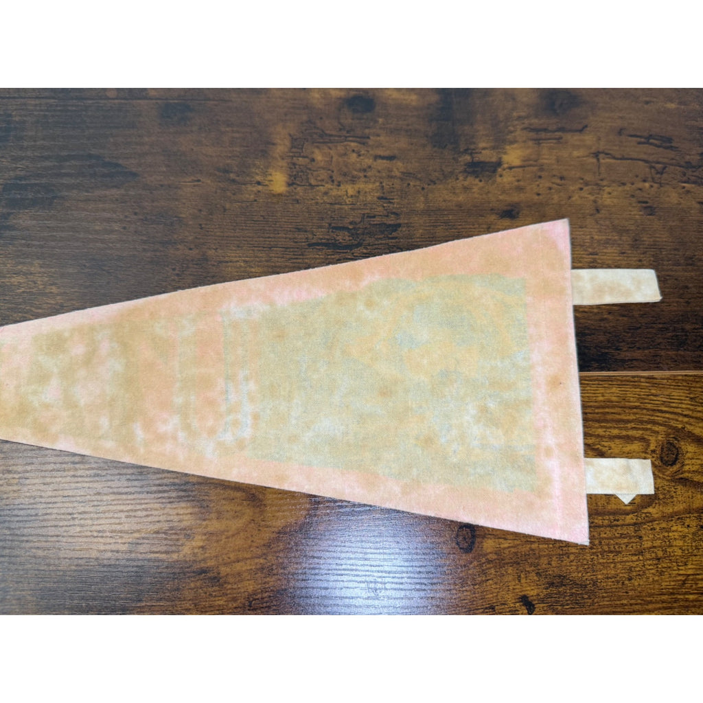 Vintage Utah Souvenir Felt Pennant With Beehive Arches And Temple Design