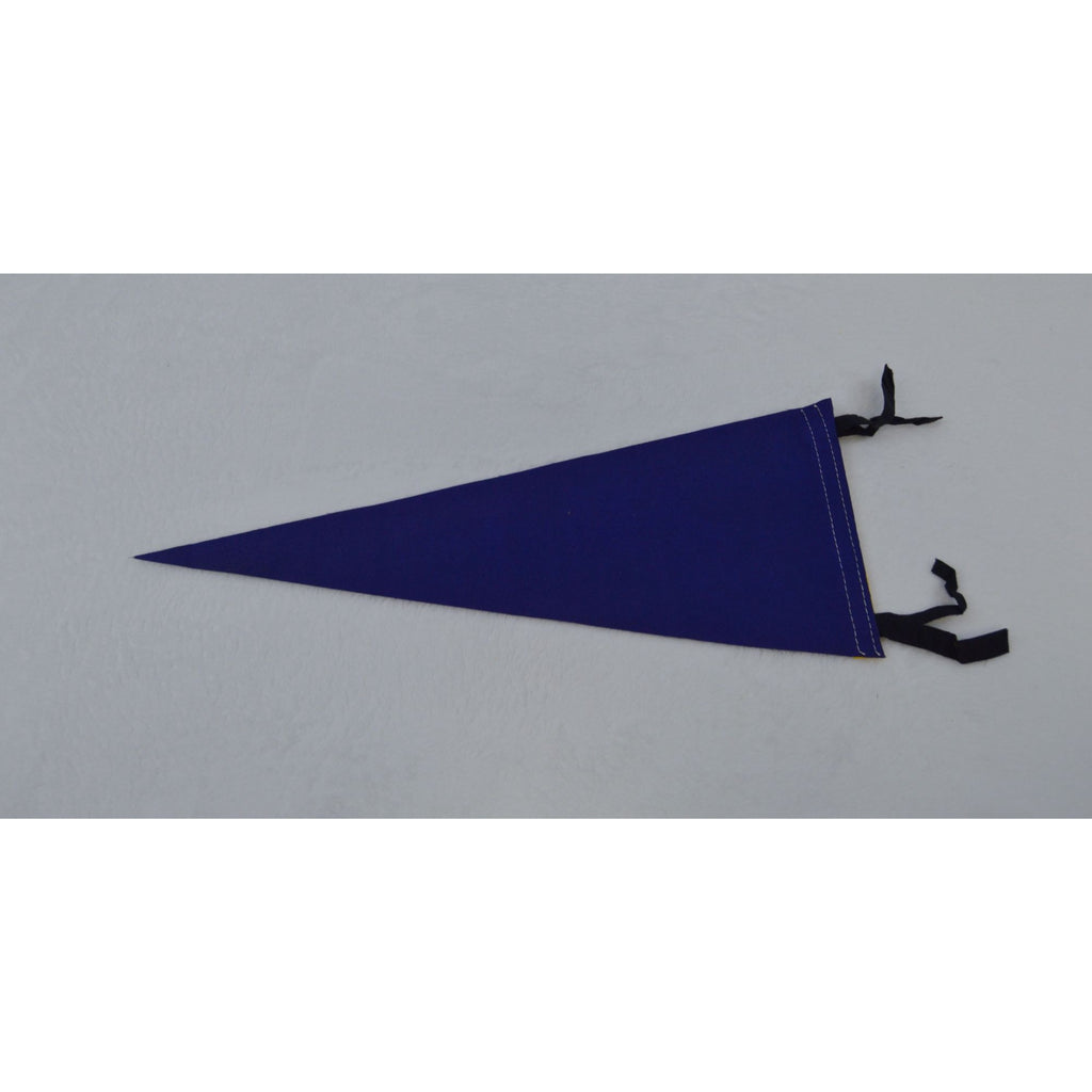 Vintage Mark Twain's Home Hannibal, Missouri pennant