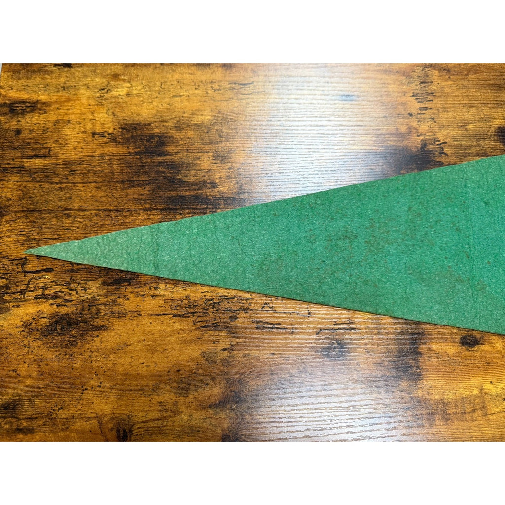 Vintage Mt. Vernon, Virginia pennant