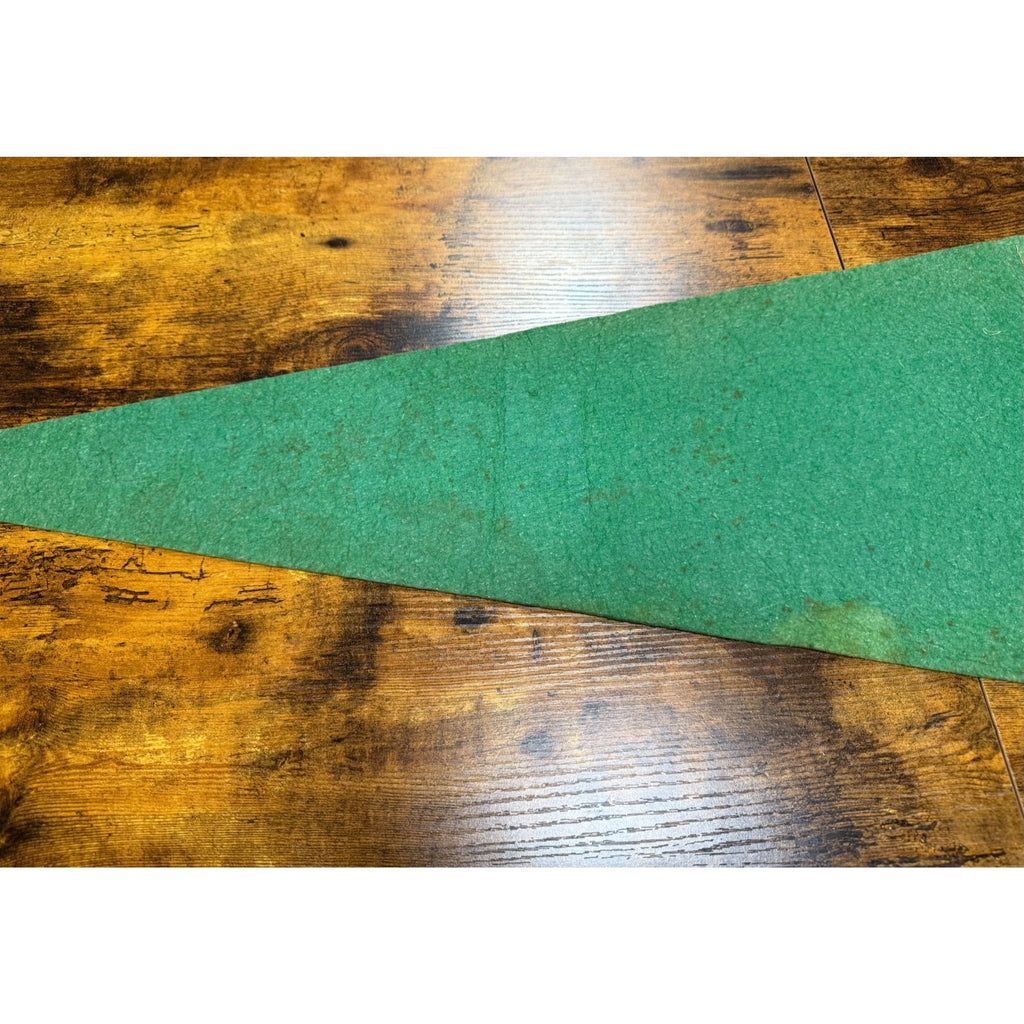 Vintage Mt. Vernon, Virginia pennant