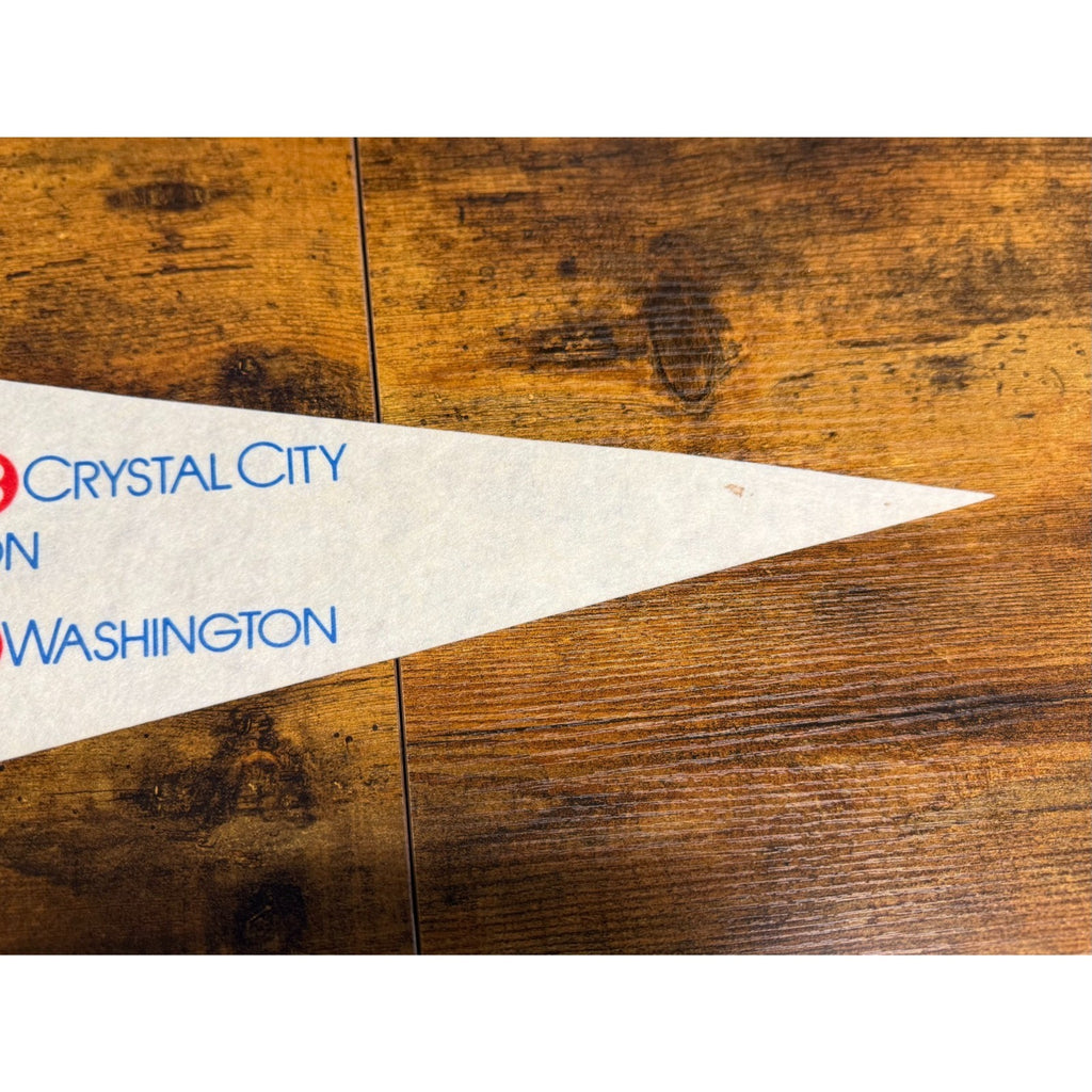 Vintage 1982-83 Washington Capitols team photo Hyatt pennant