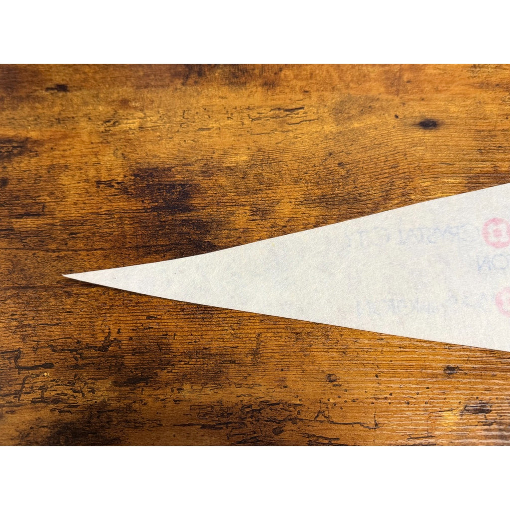 Vintage 1982-83 Washington Capitols team photo Hyatt pennant