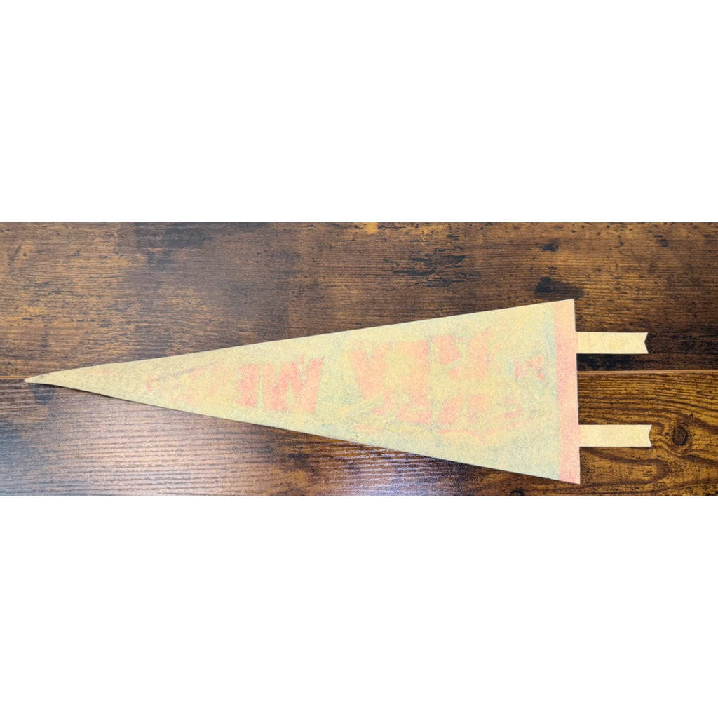 Vintage Key West Florida Souvenir Felt Pennant With Bright Graphics