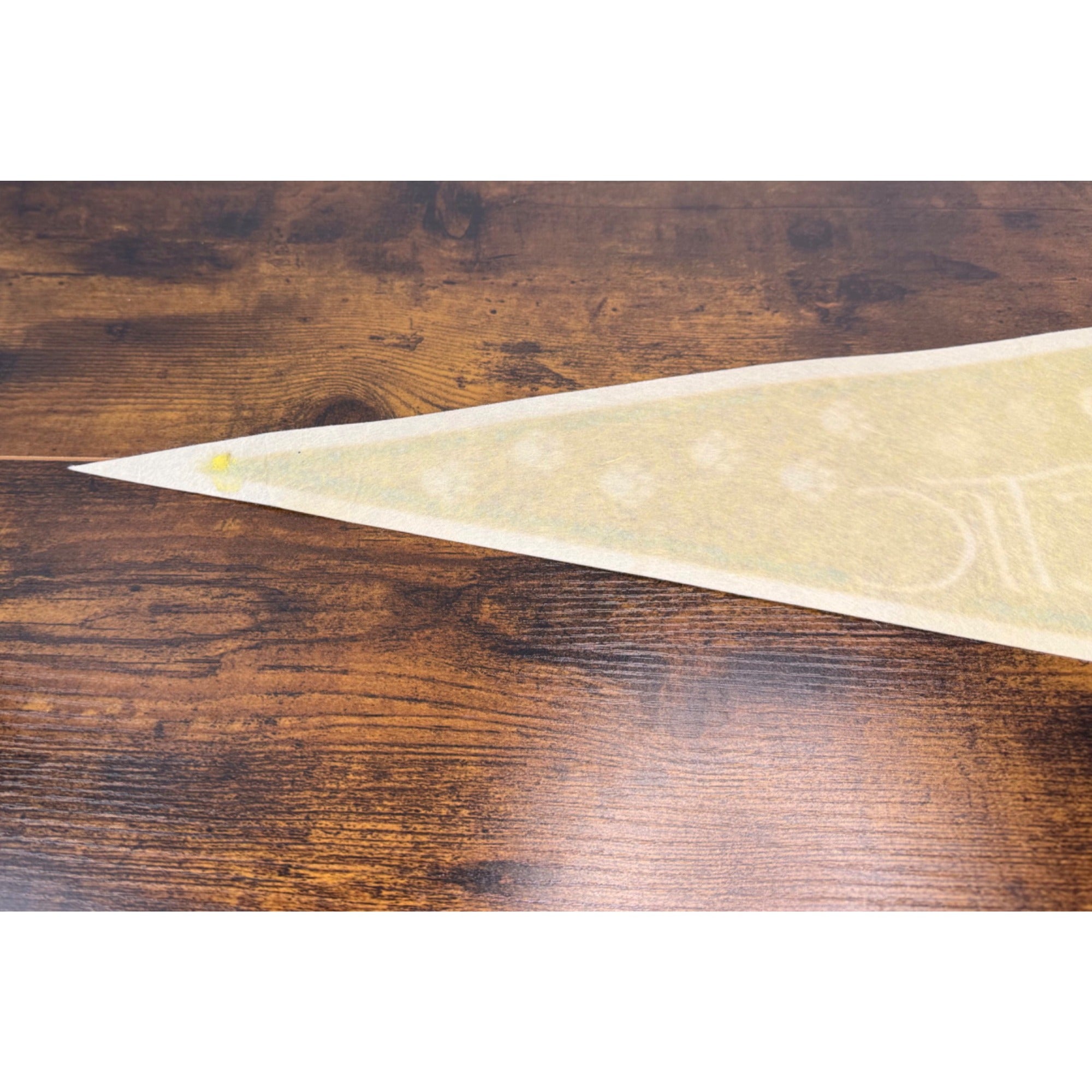 Vintage Wild Arctic Polar Bear Pennant