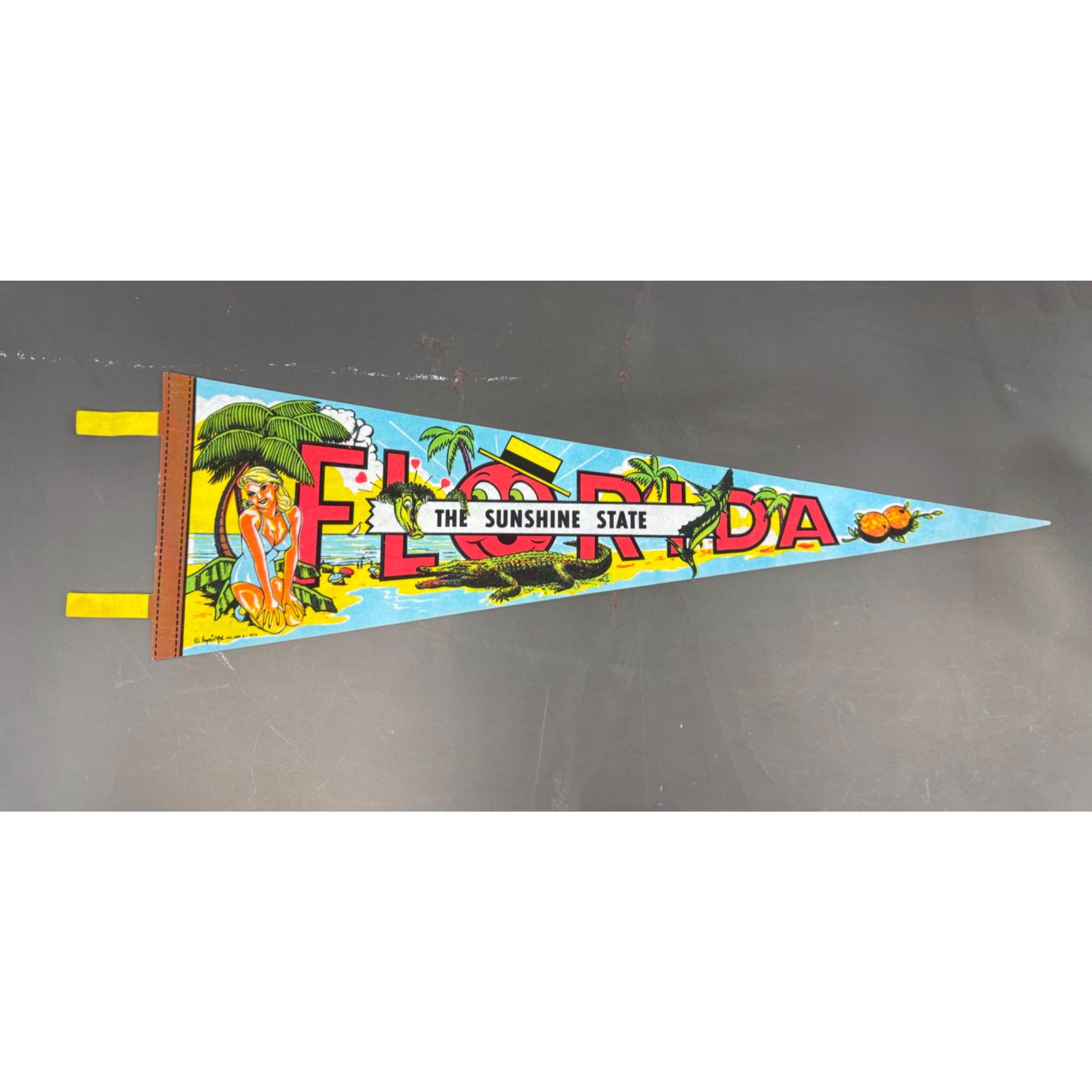 Vintage Florida “The Sunshine State” pennant