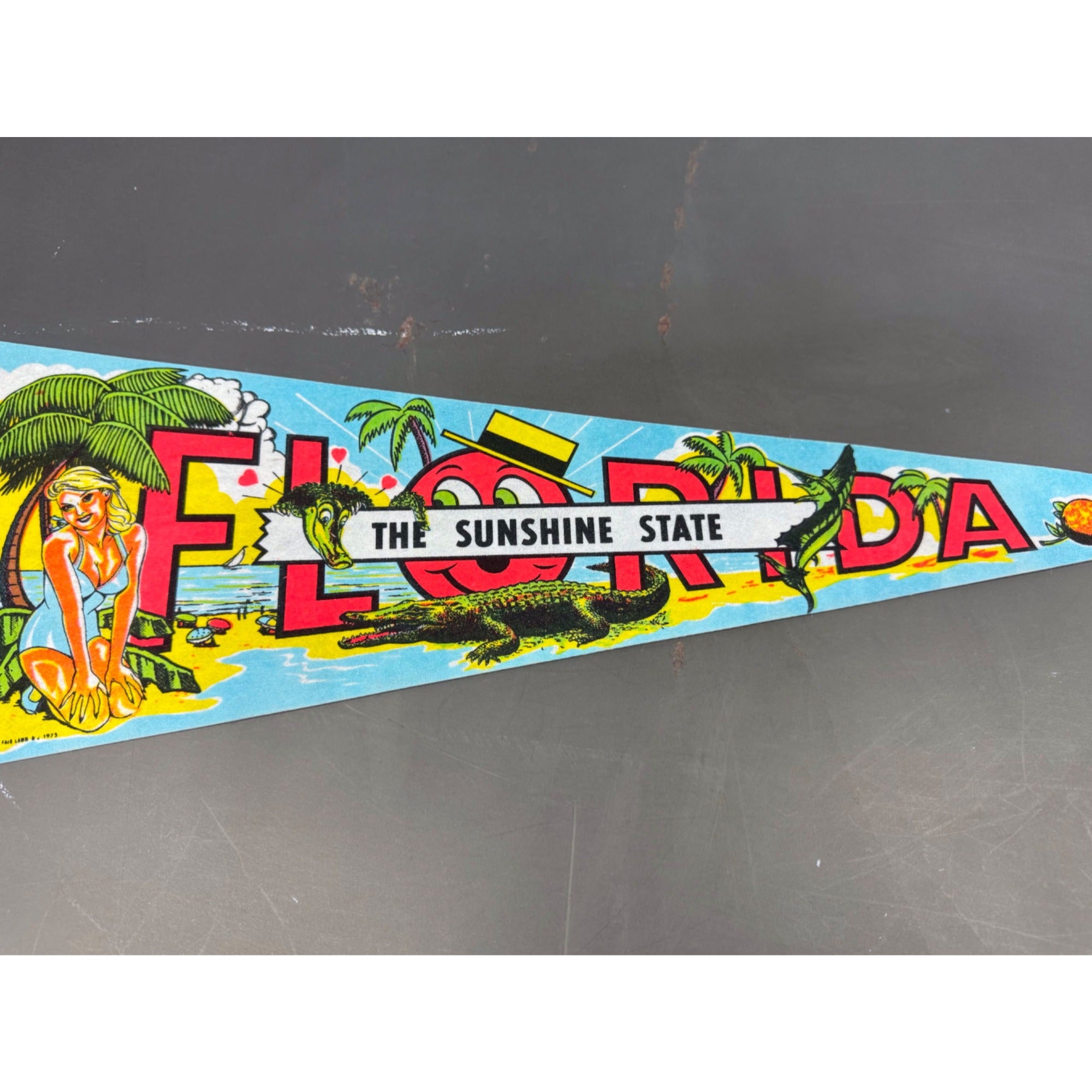 Vintage Florida “The Sunshine State” pennant