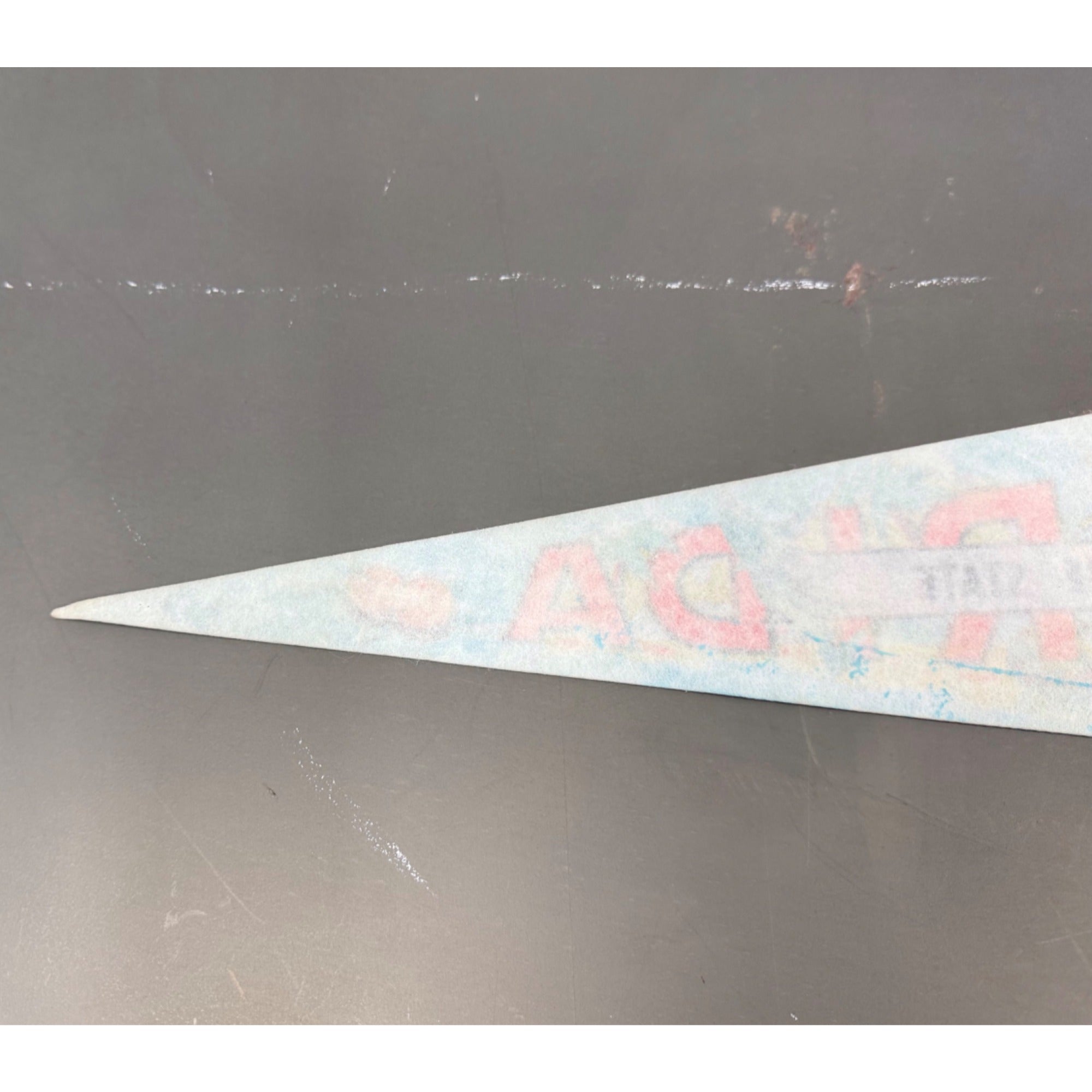Vintage Florida “The Sunshine State” pennant