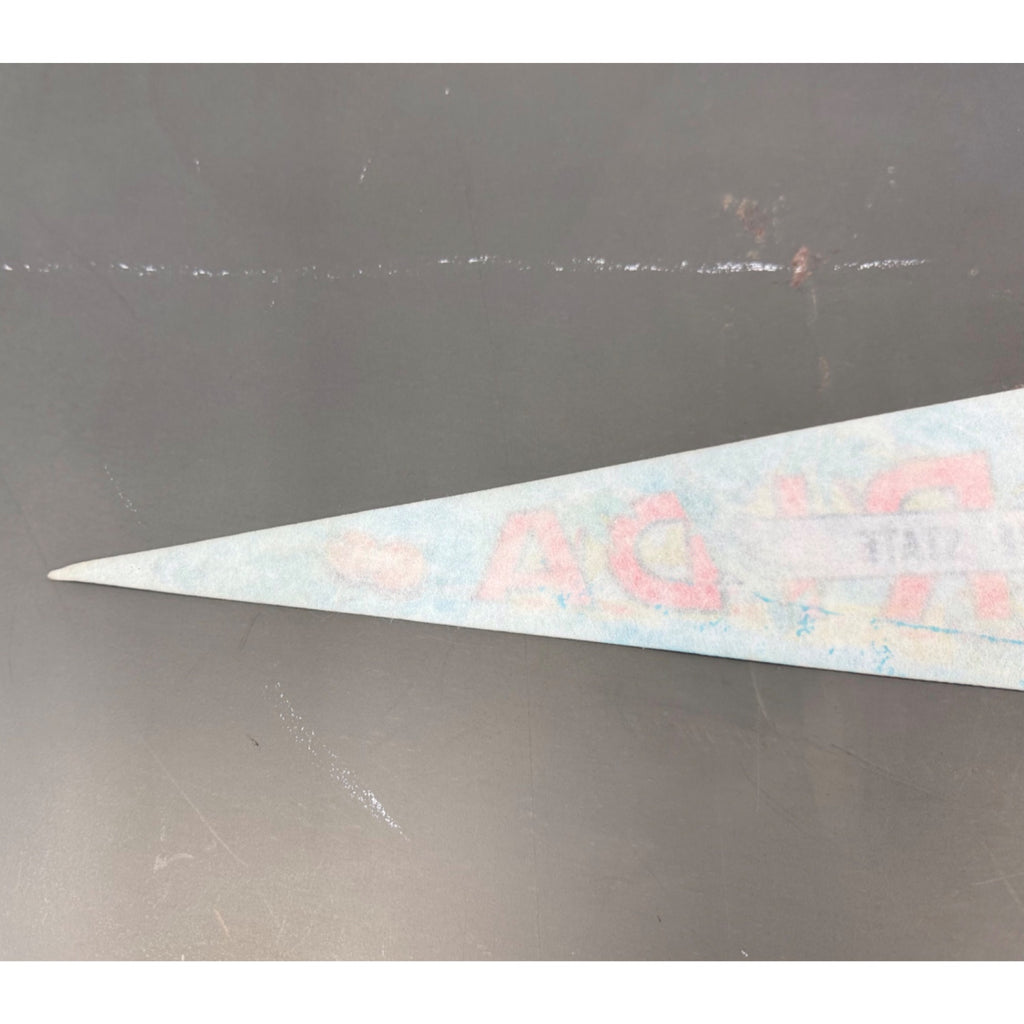 Vintage Florida “The Sunshine State” pennant