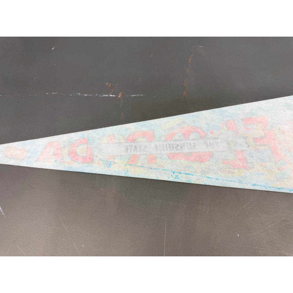 Vintage Florida “The Sunshine State” pennant