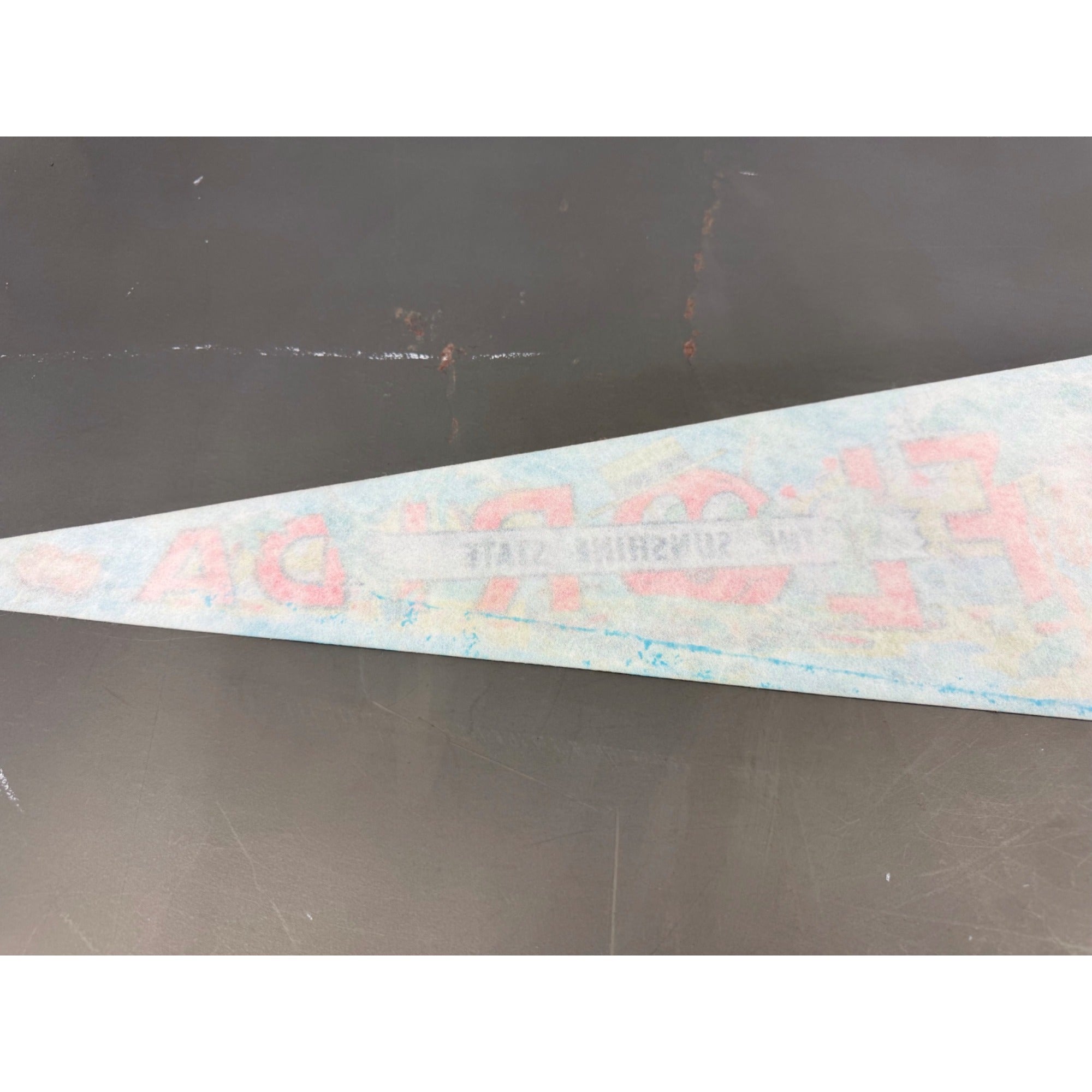 Vintage Florida “The Sunshine State” pennant