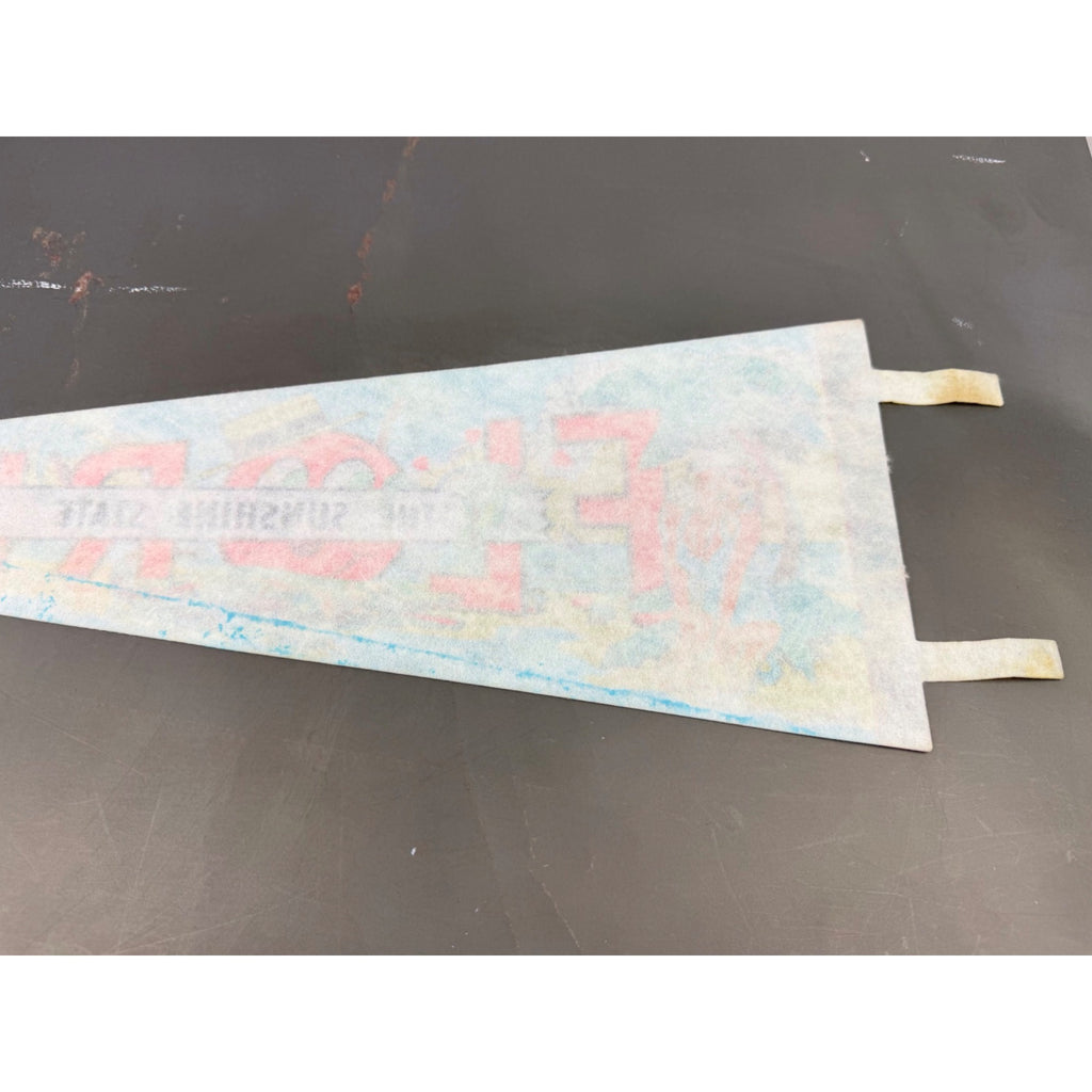 Vintage Florida “The Sunshine State” pennant