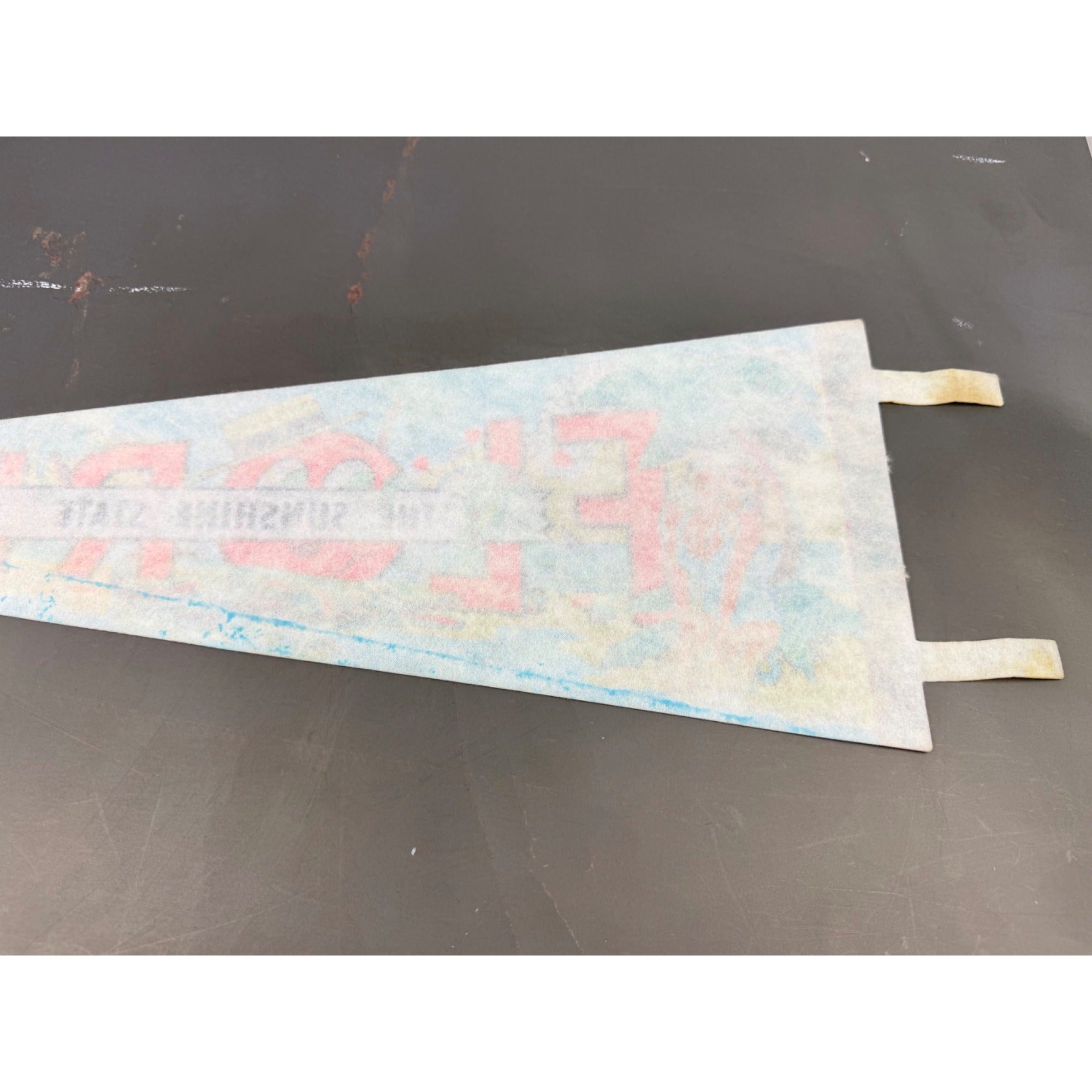 Vintage Florida “The Sunshine State” pennant