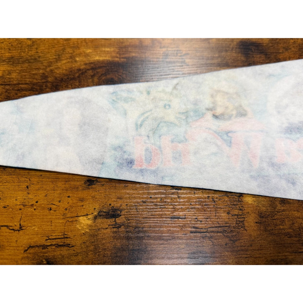 Vintage Sea World pennant