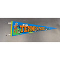 Vintage Tennessee State pennant