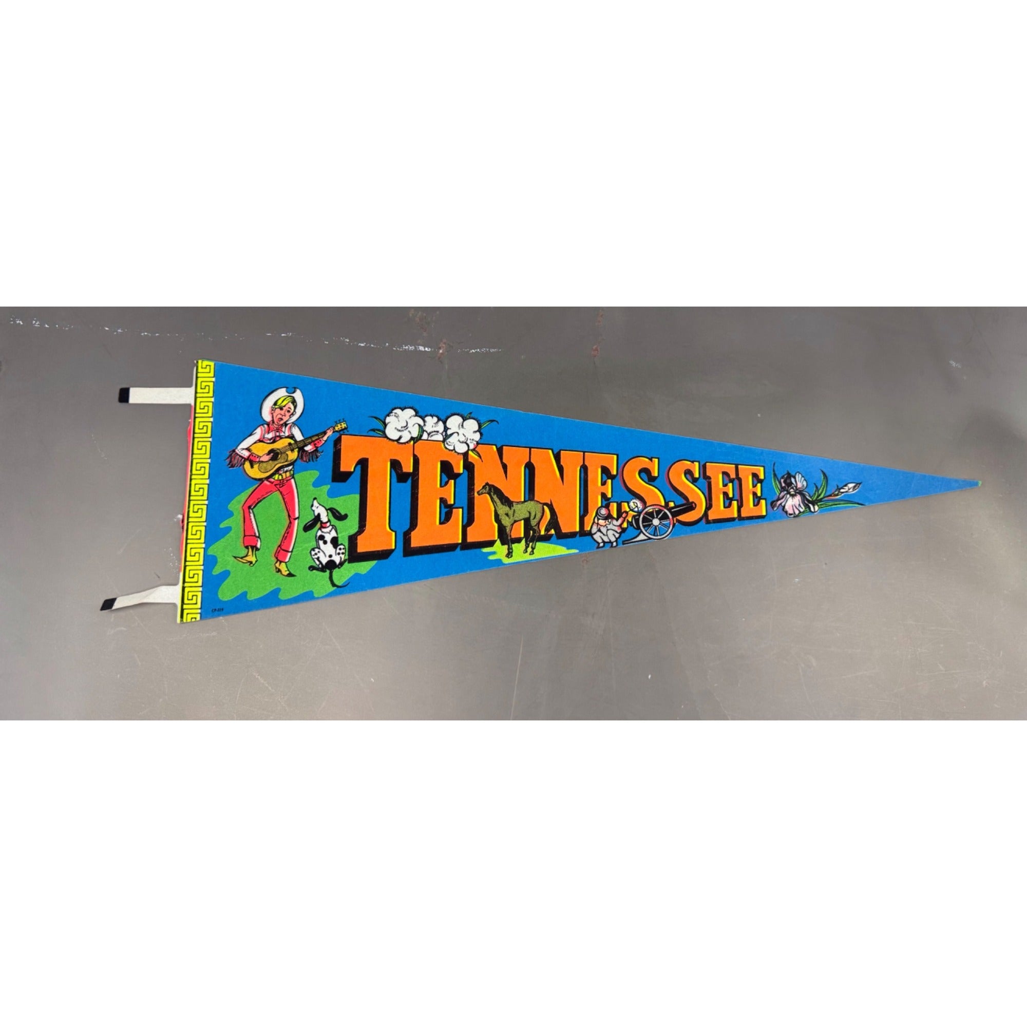 Vintage Tennessee State pennant