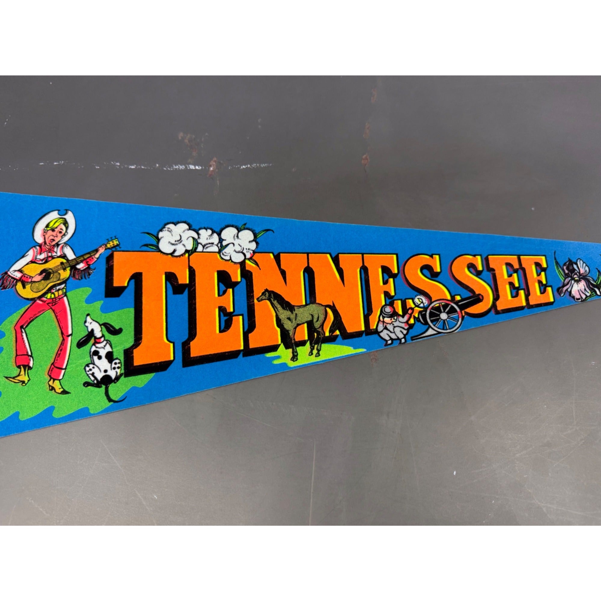 Vintage Tennessee State pennant
