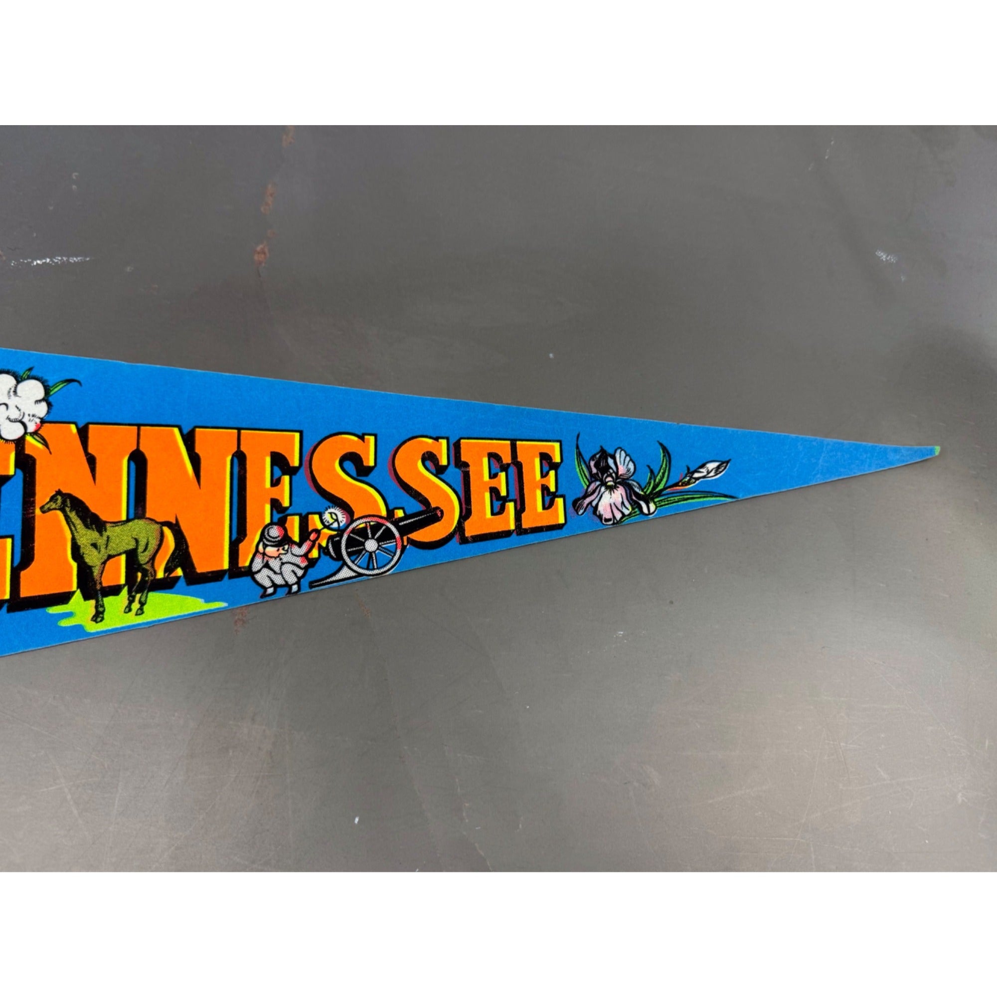 Vintage Tennessee State pennant