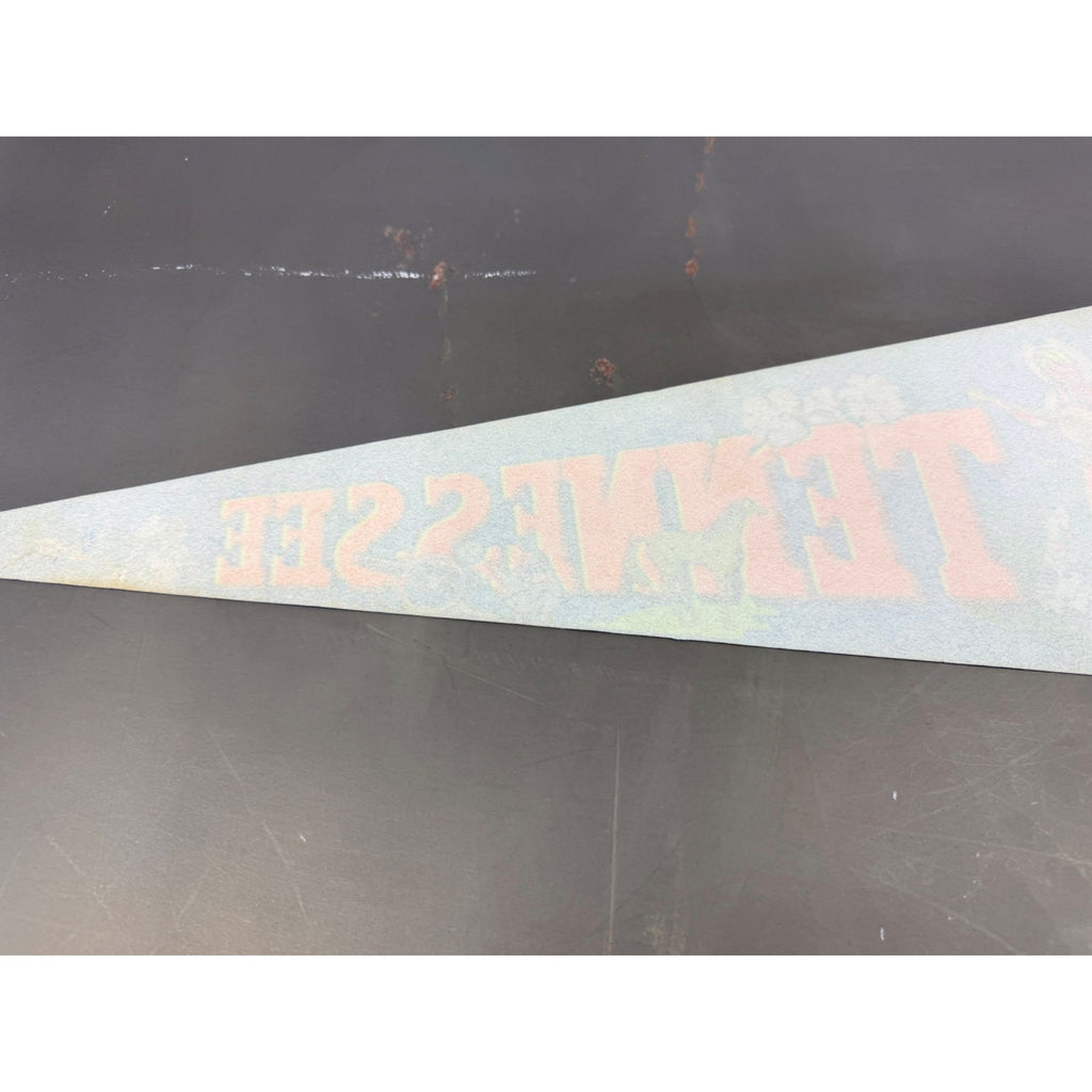 Vintage Tennessee State pennant