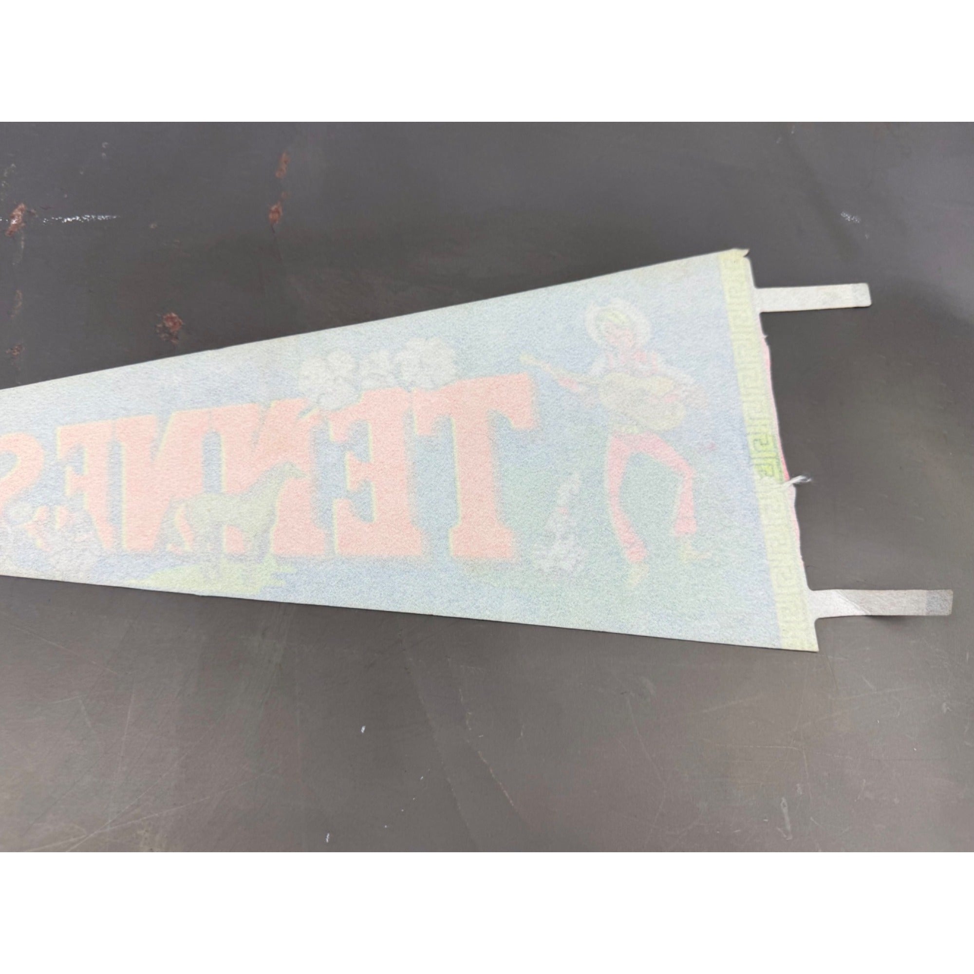 Vintage Tennessee State pennant