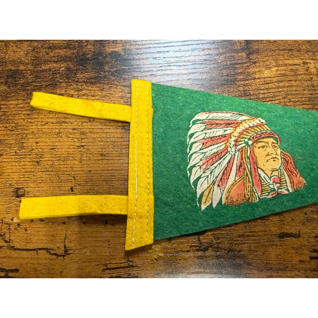 Vintage Souvenir Siuox Falls, South Dakota mini pennant