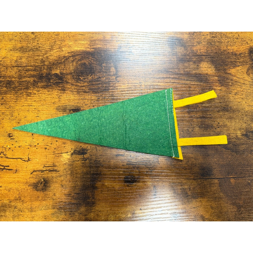 Vintage Souvenir Siuox Falls, South Dakota mini pennant